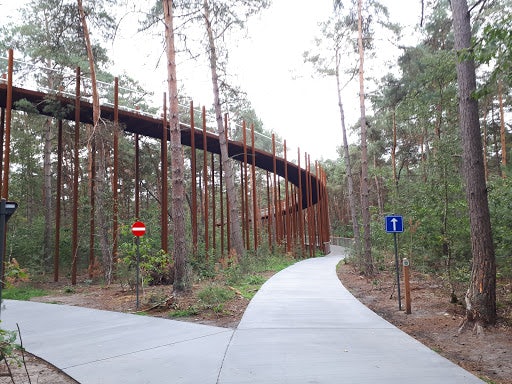 a bike trail high between trees in Belgium
